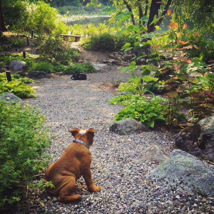 10985265_10153063871819071_4252063439735092656_n