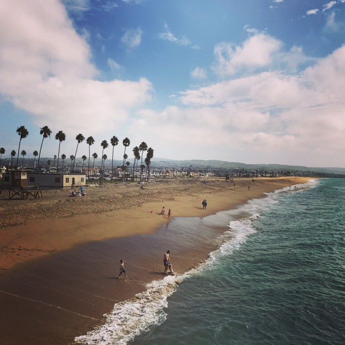 37644036601_bf7005123e_o